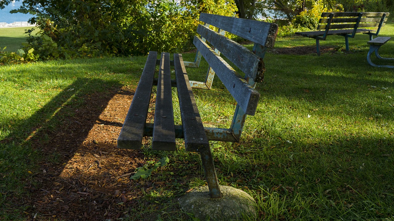 bench sunlight grass free photo