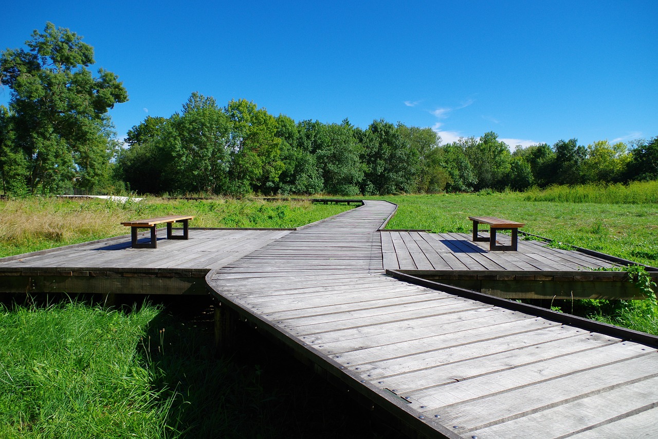 bench promenade jonzac free photo