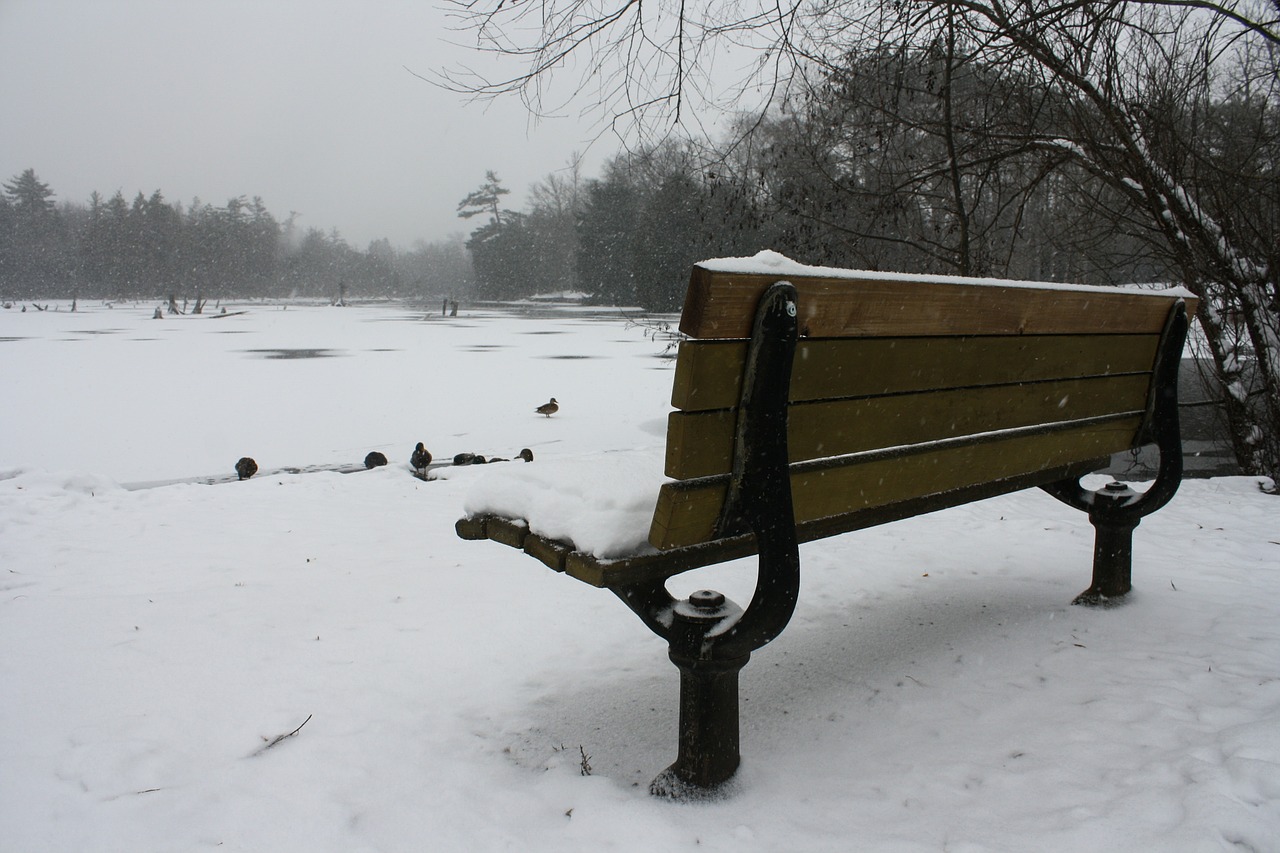 bench lake landscape free photo