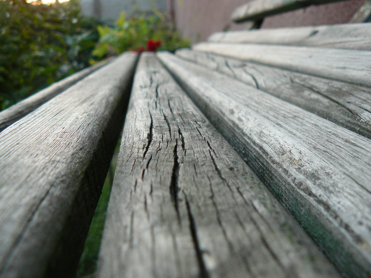 bench garden wood free photo