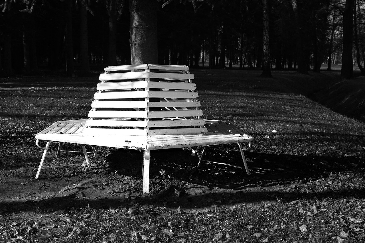 bench nature shadow free photo