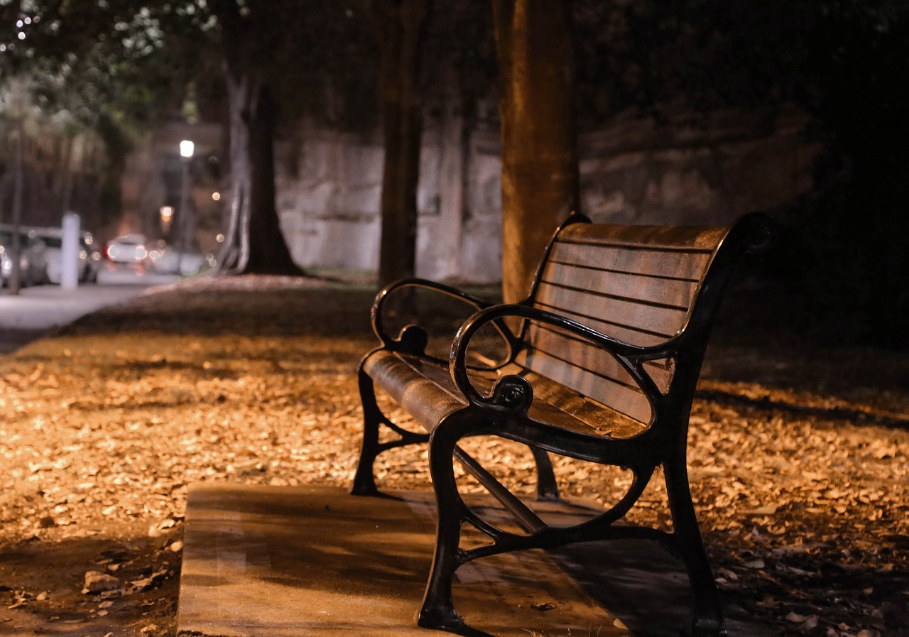 bench dark night free photo