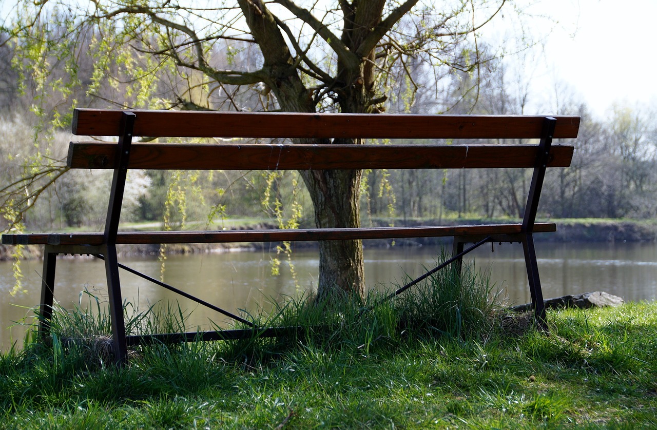 bench lonely peace free photo