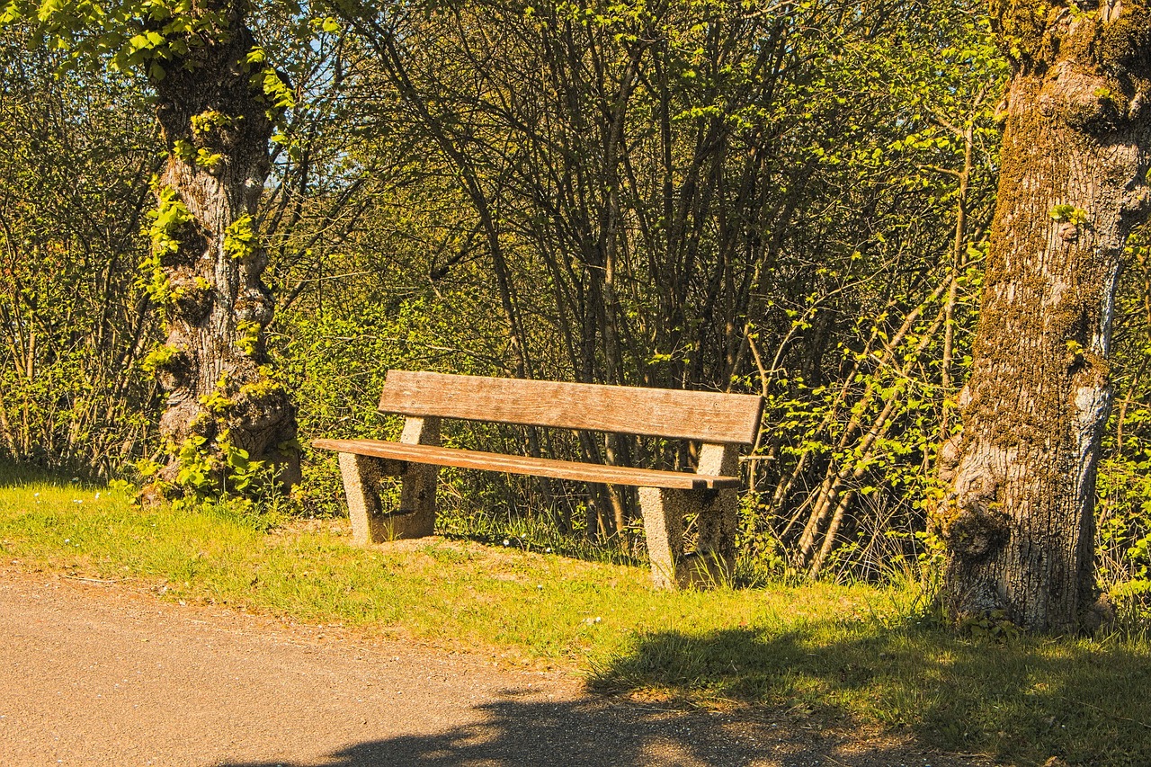 bench seat rest free photo