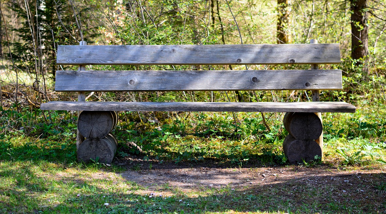 bench wood nature free photo