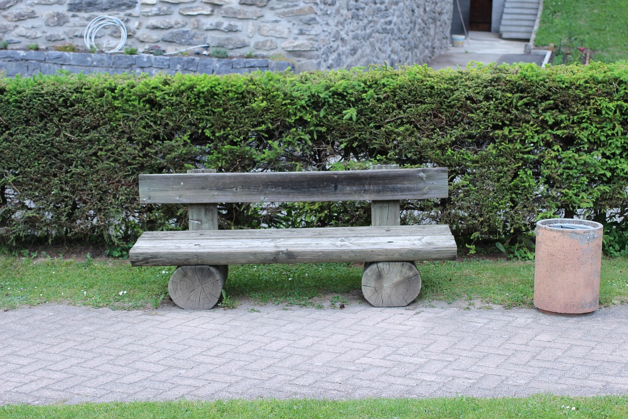 bench garden nature free photo