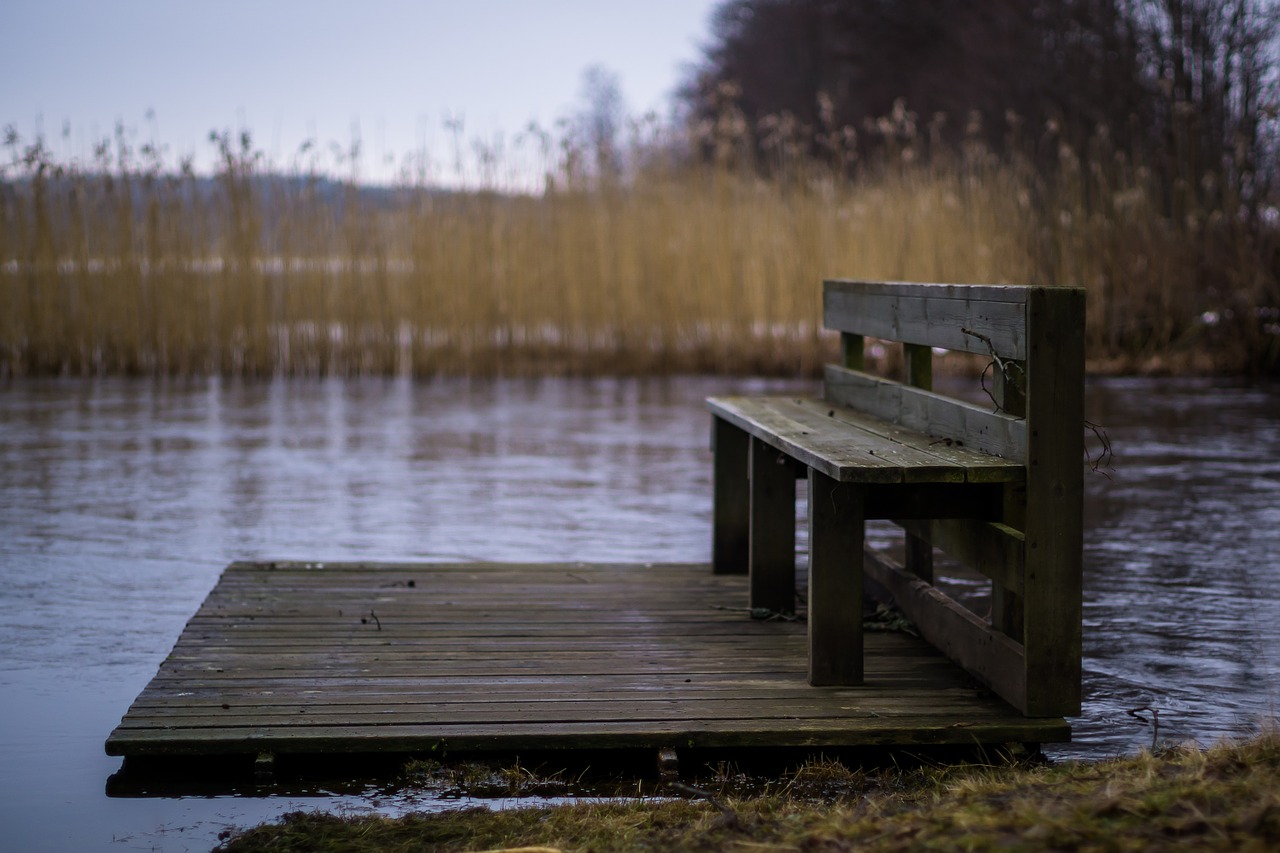 bench river nature free photo