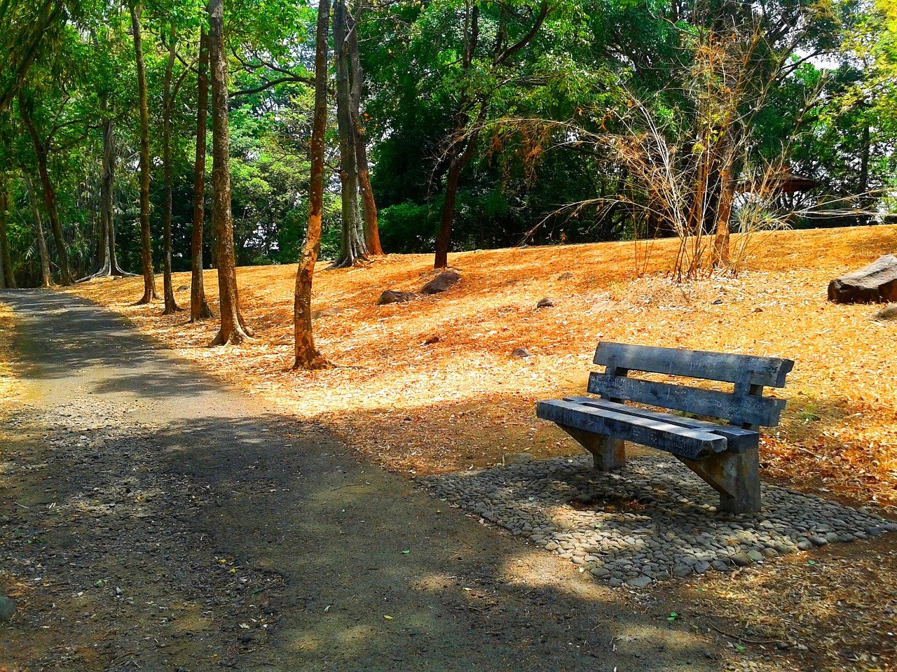 bench garden outdoor free photo