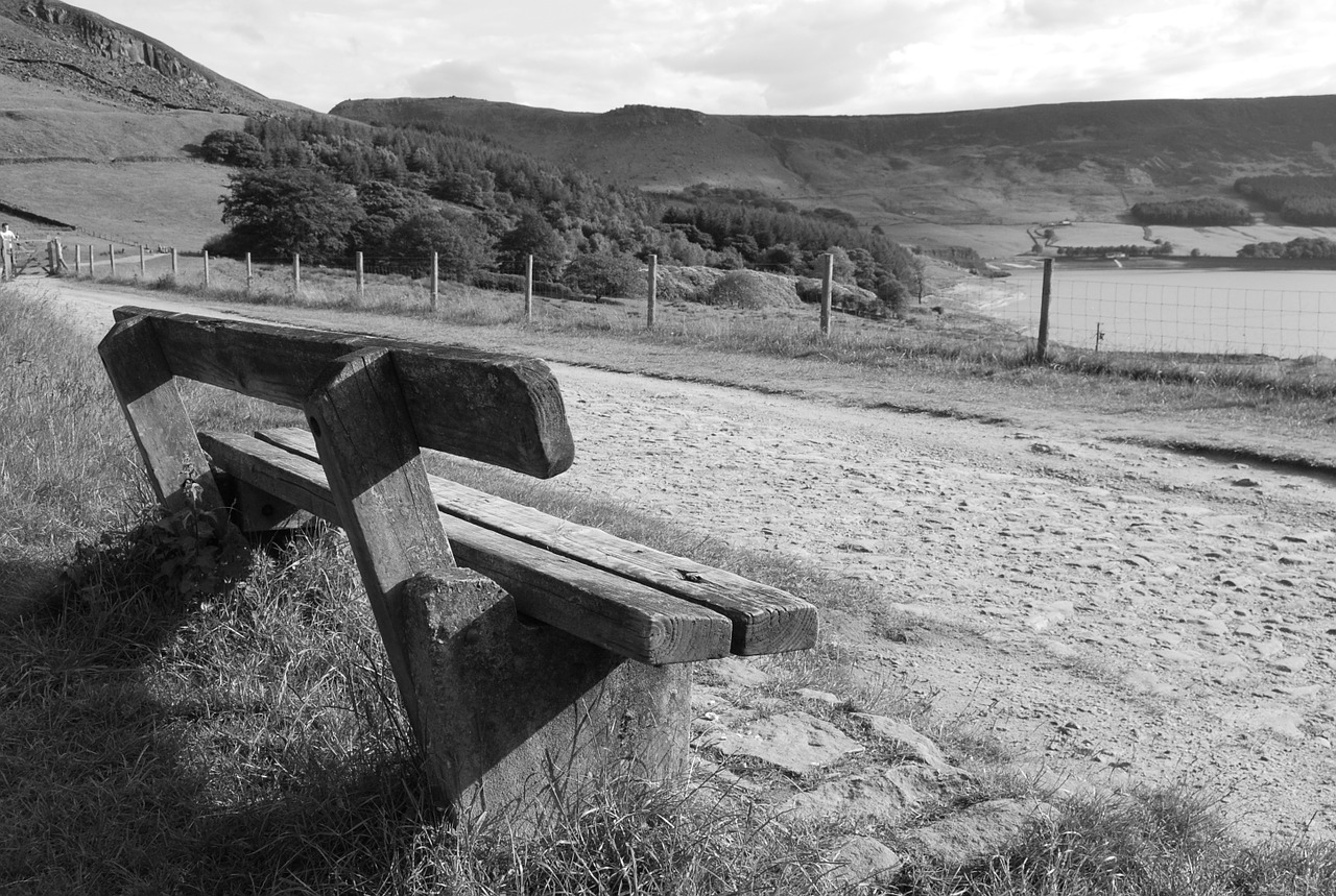 bench black and white wood free photo