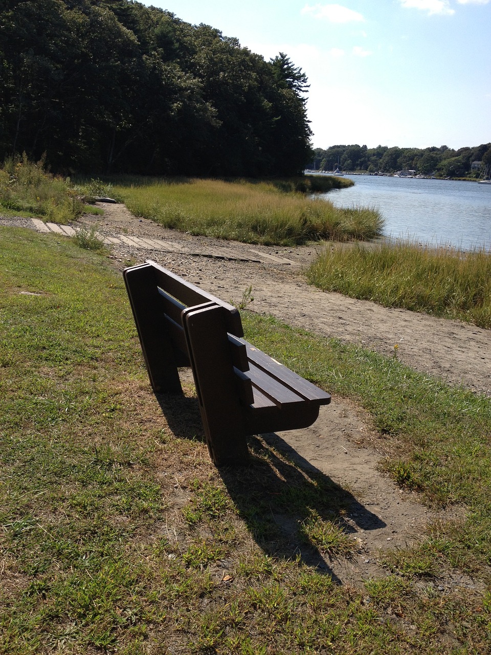 bench park quiet free photo