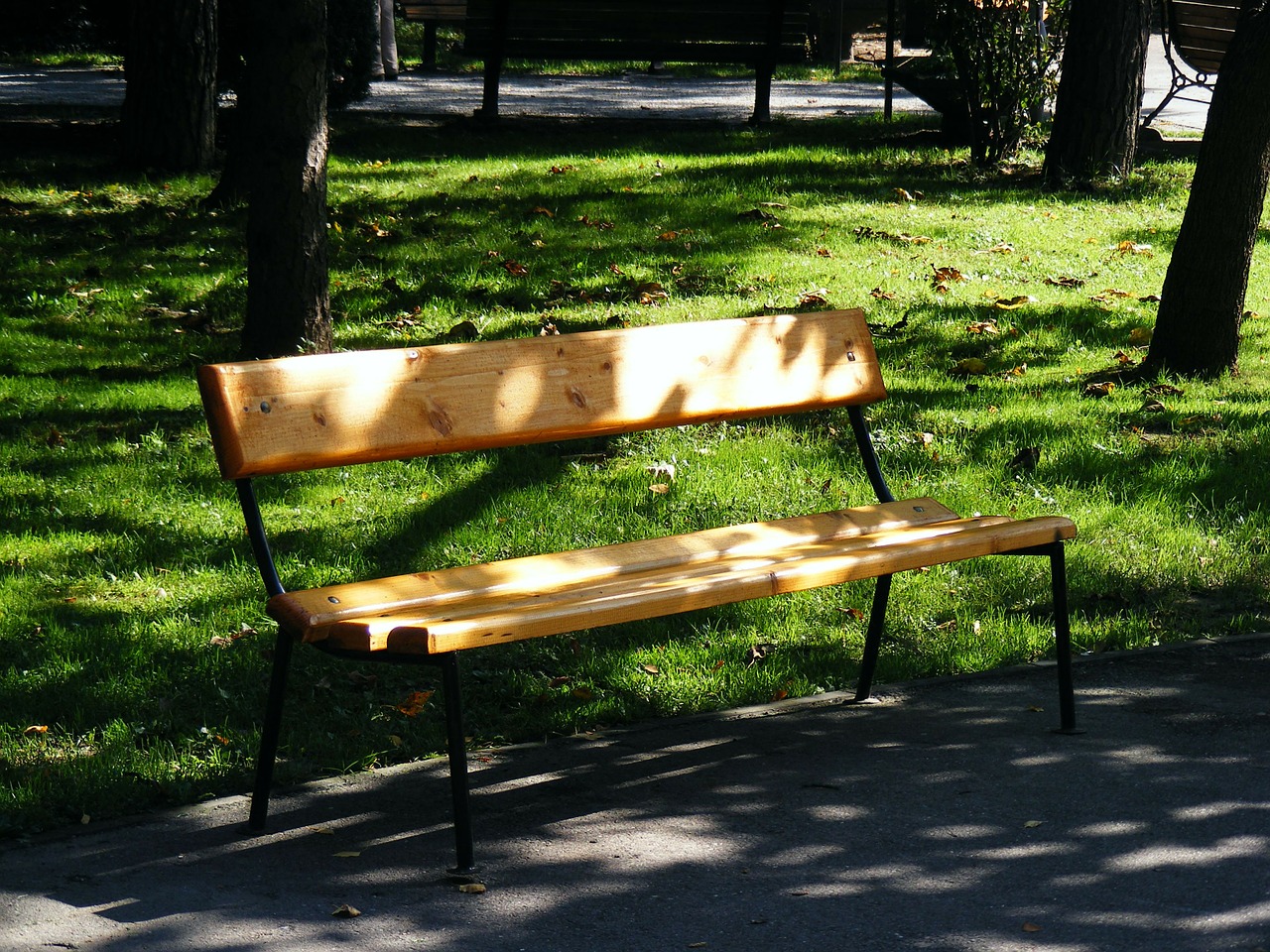 bench autumn outdoor free photo
