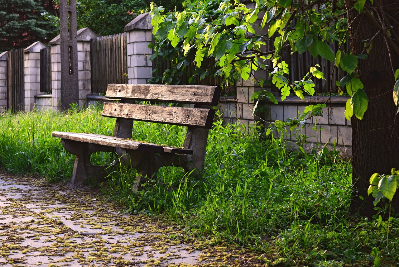 bench wooden bus stop free photo