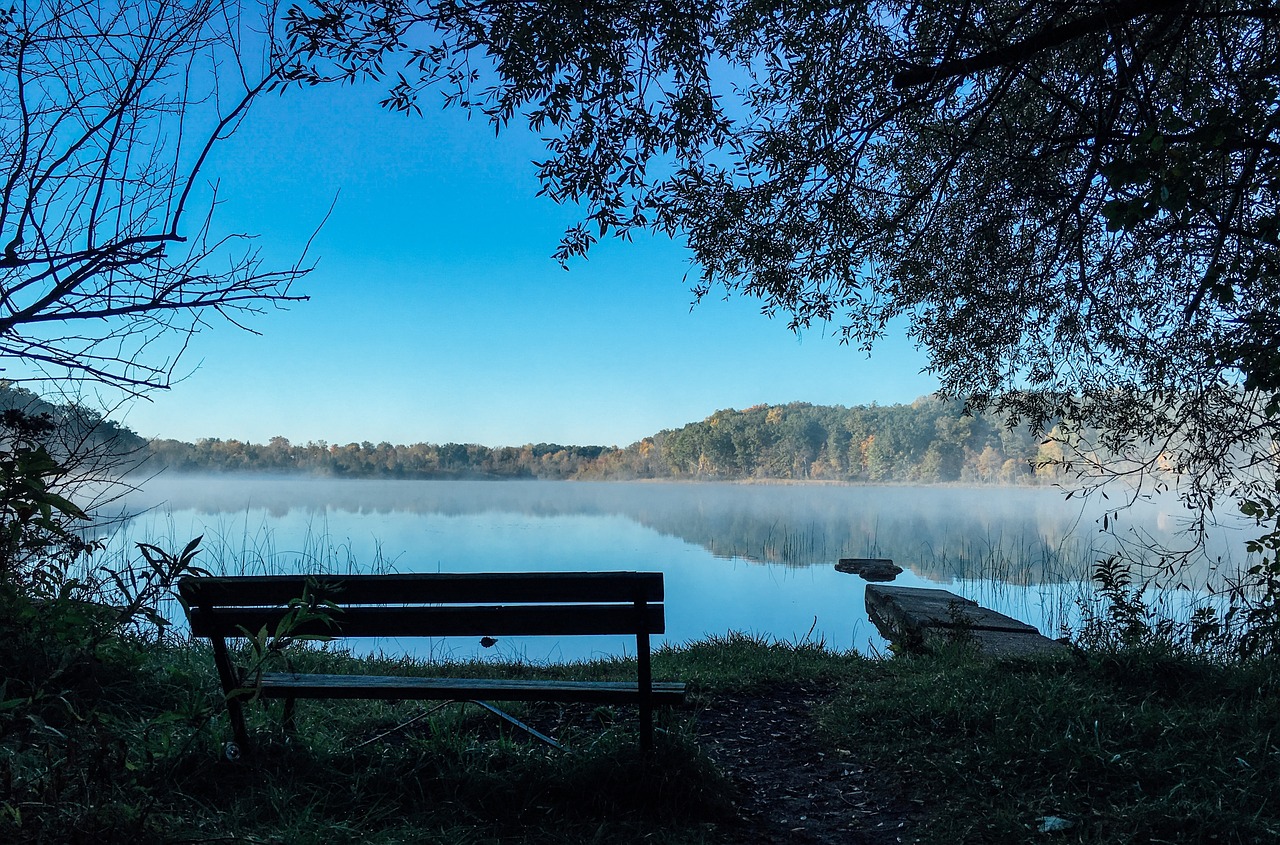 bench lake trees free photo