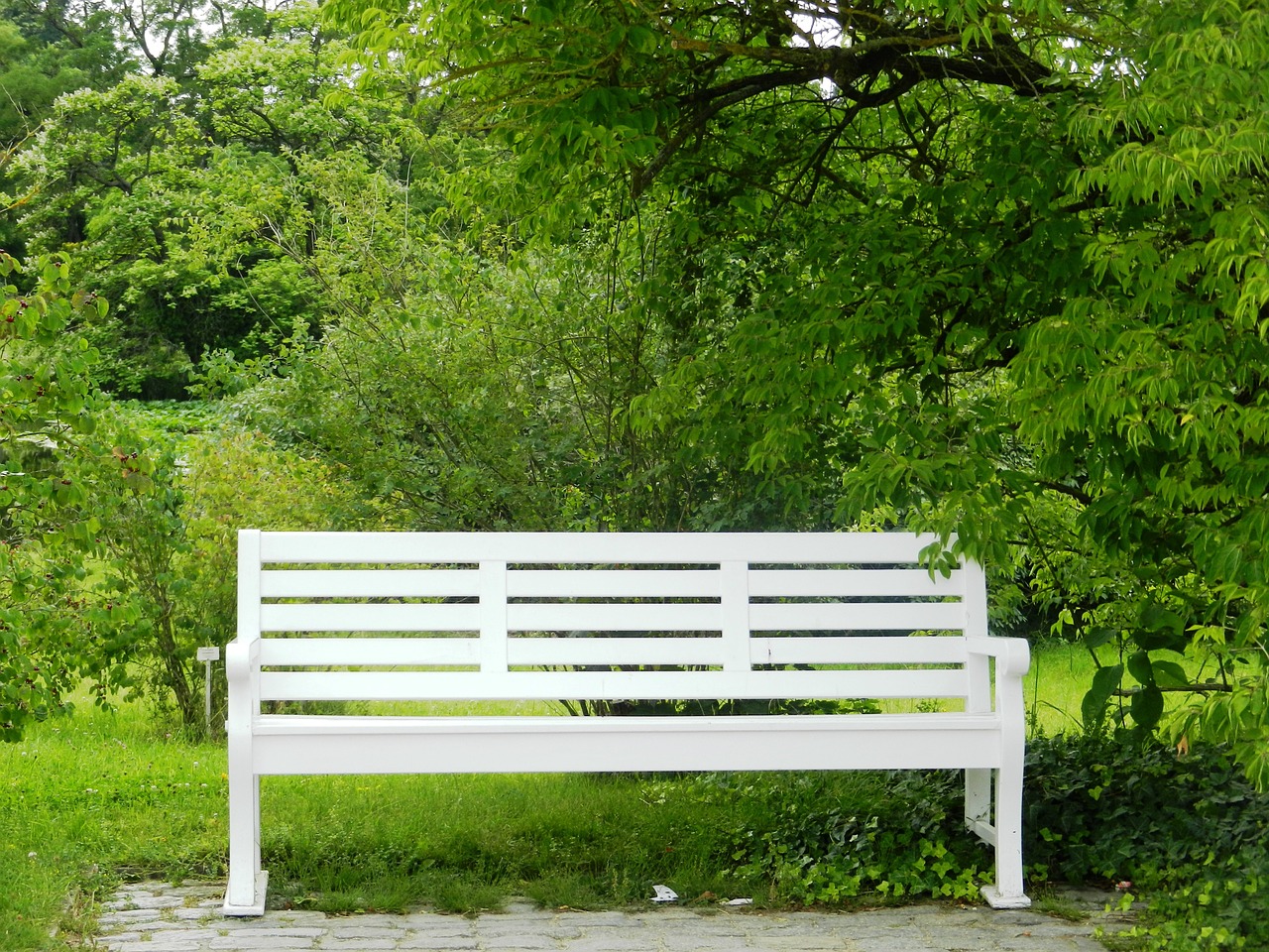 bench peace of mind park free photo