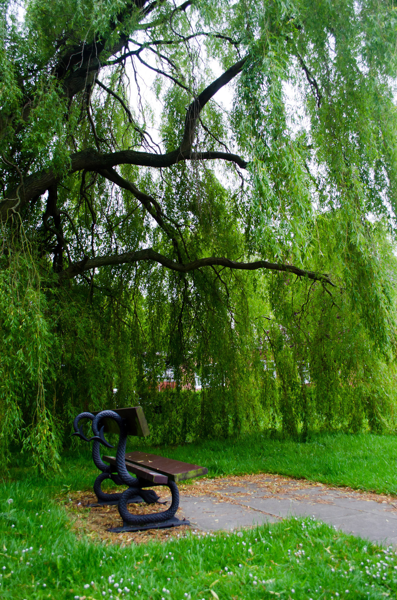 bench tree seasons free photo