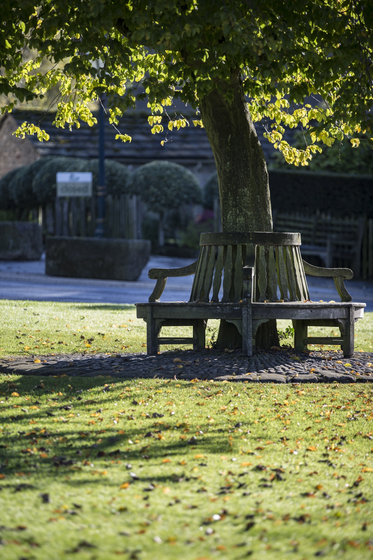 bench park wooden free photo