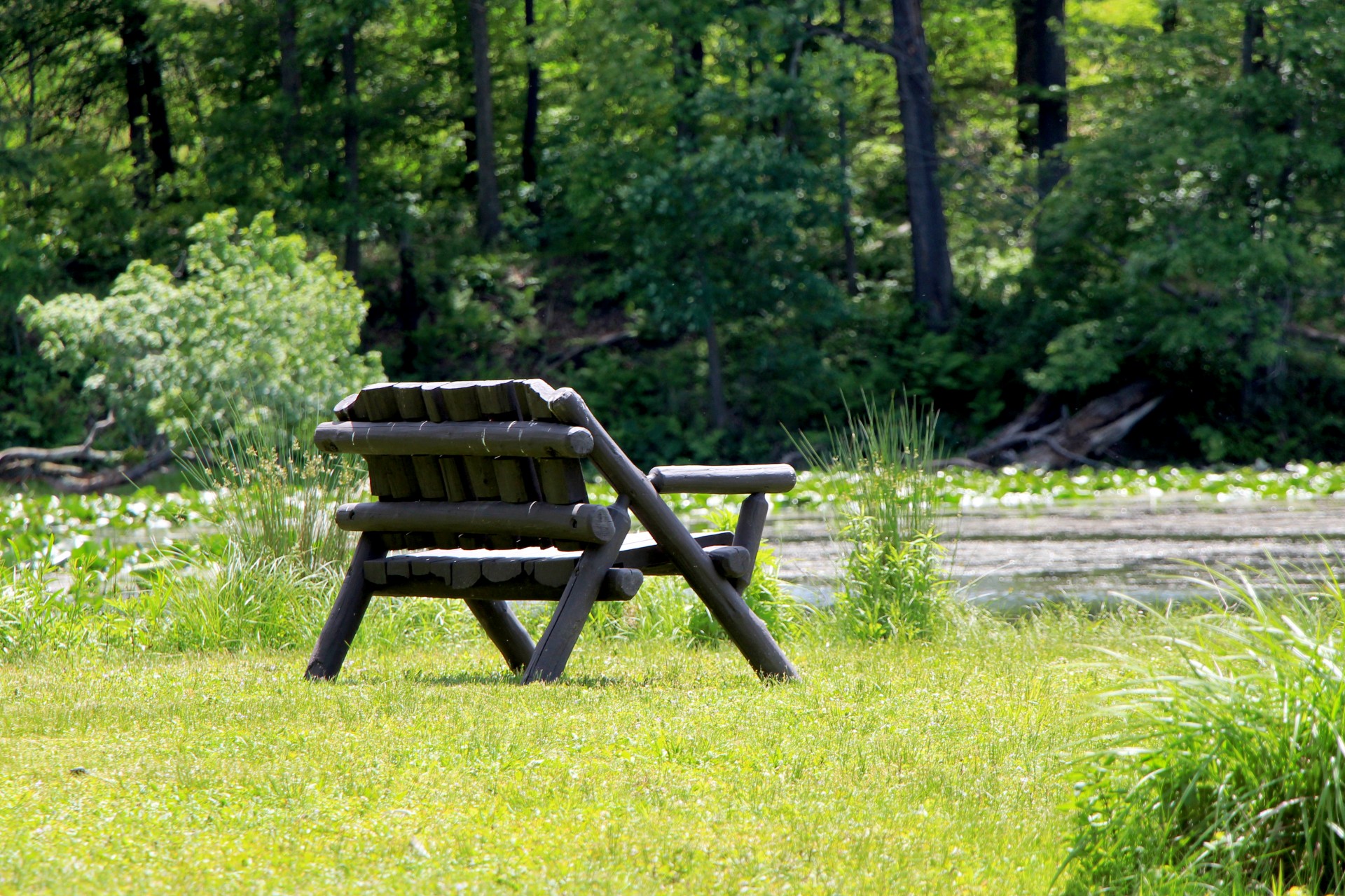 bench wooden bench lakeside free photo