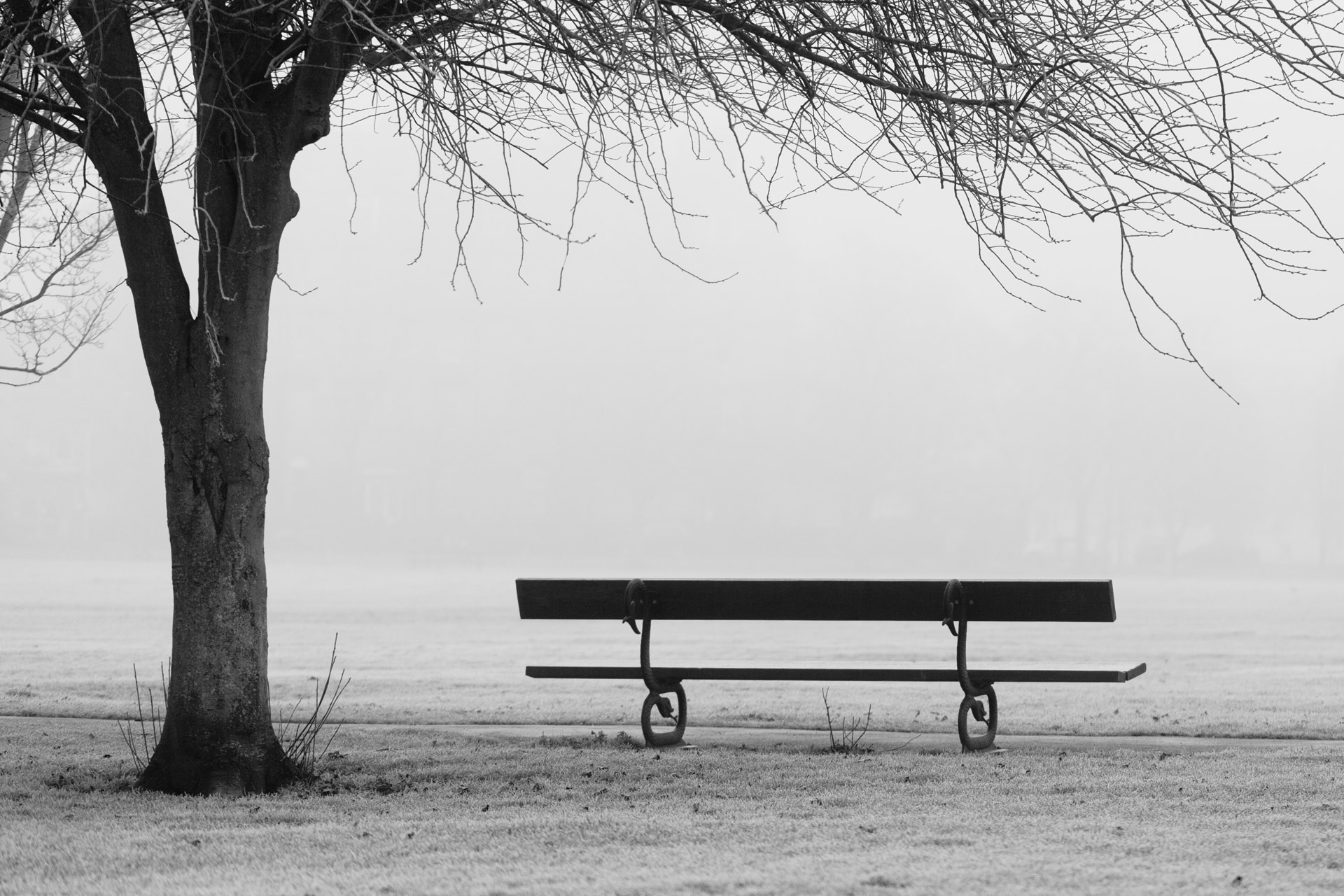 autumn bench fall free photo