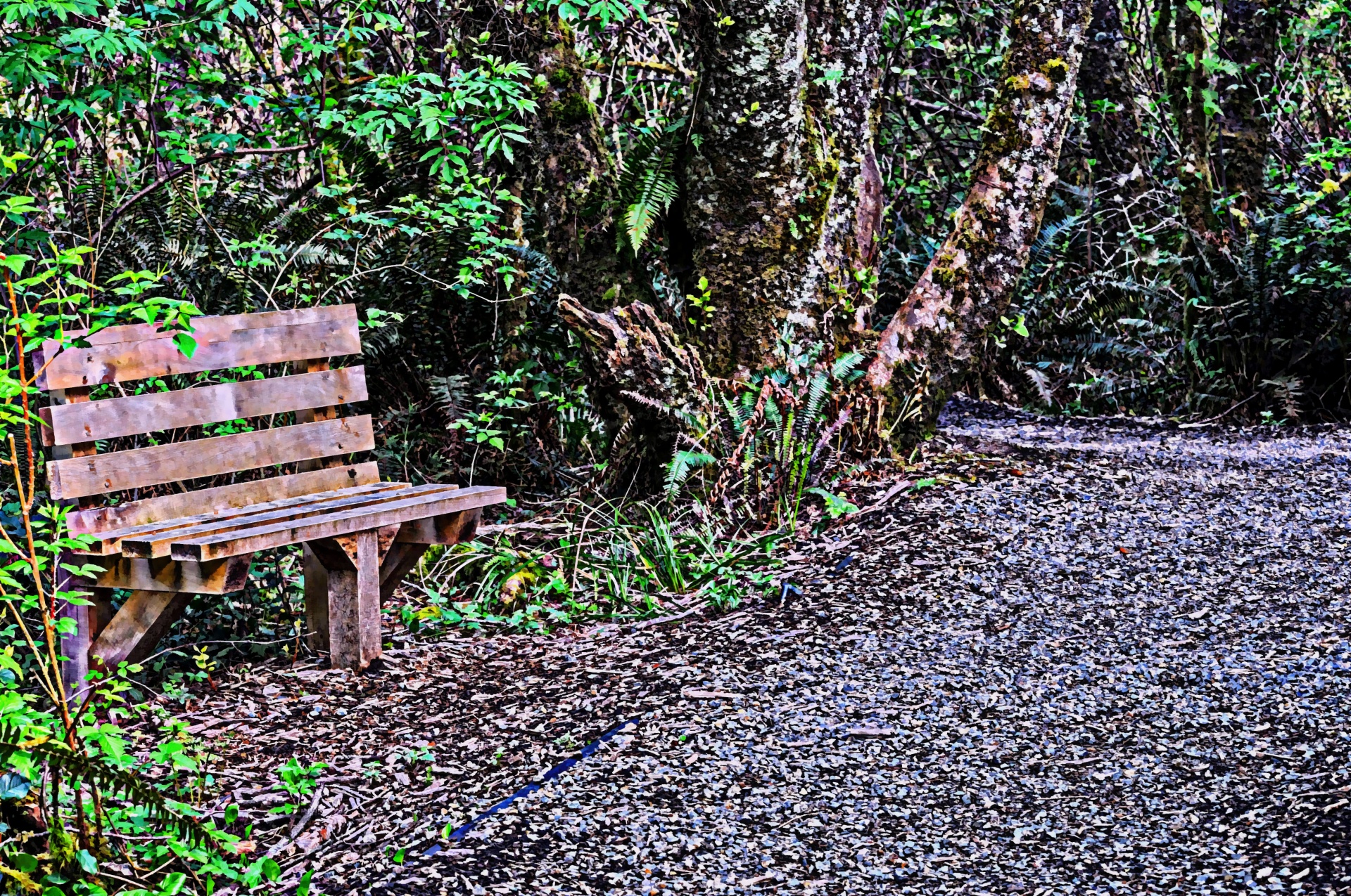 bench benches seat free photo