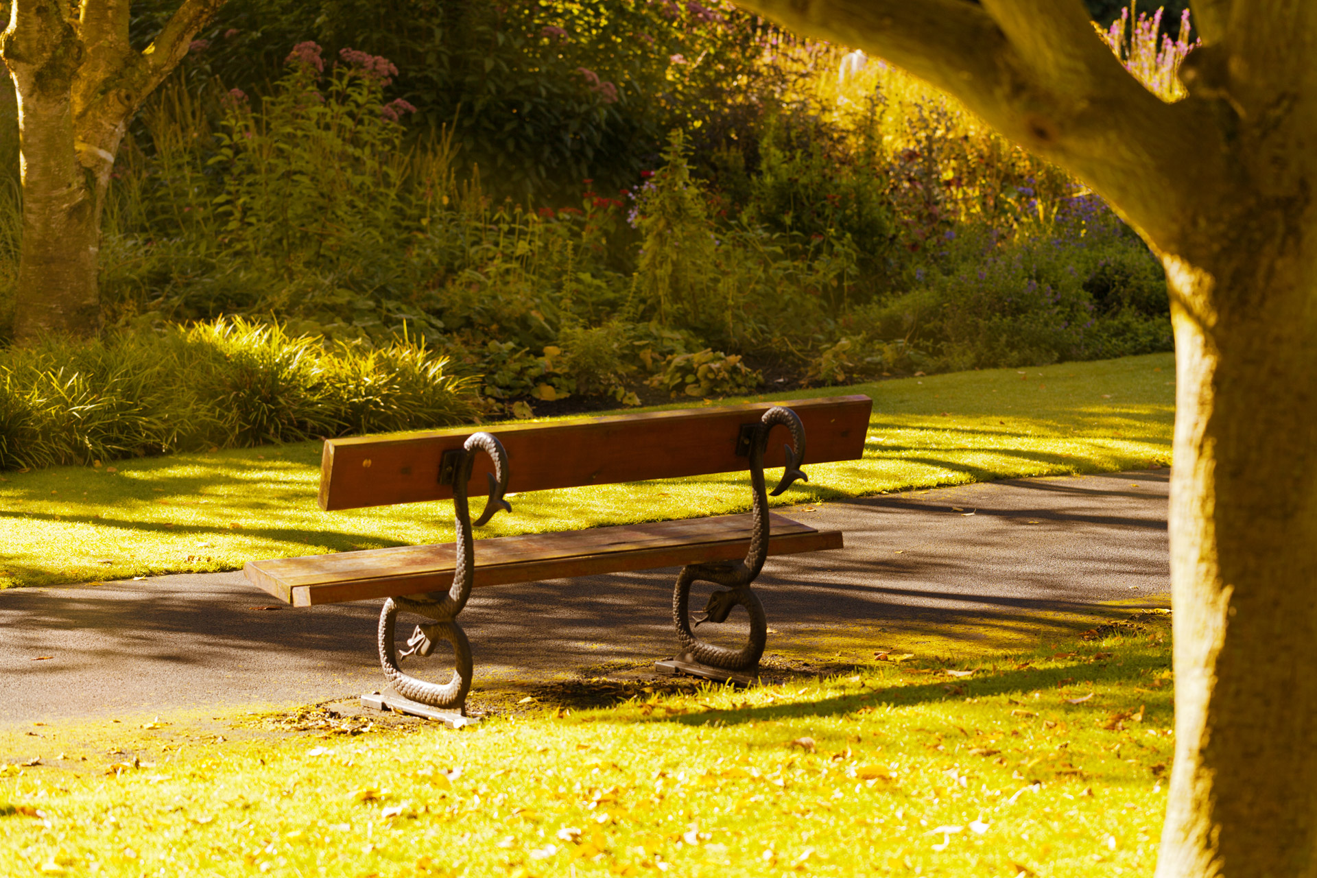 autumn bench fall free photo