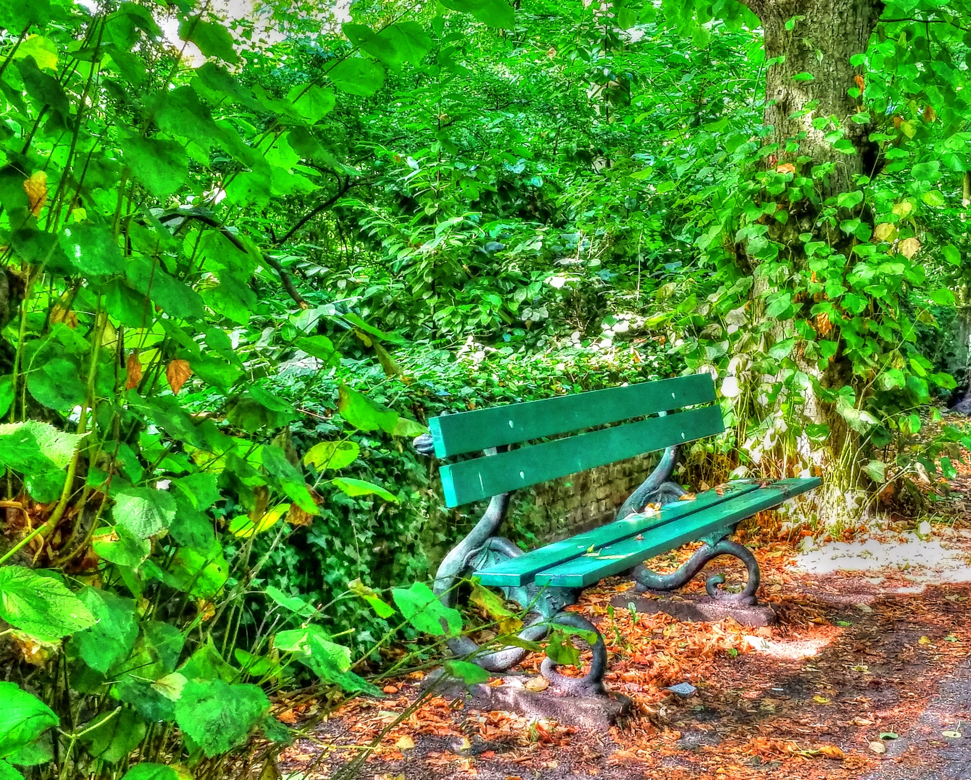 bench green sit free photo