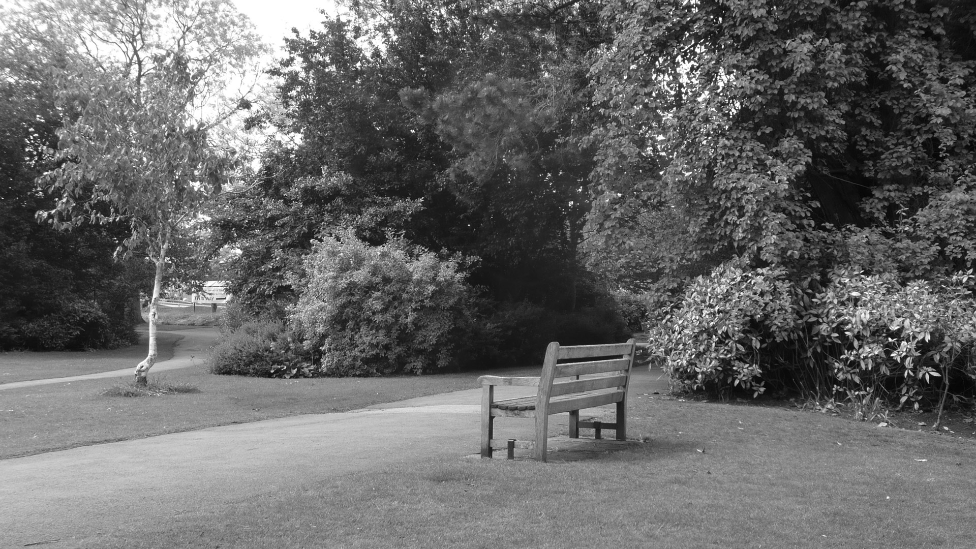 bench promenade park free photo