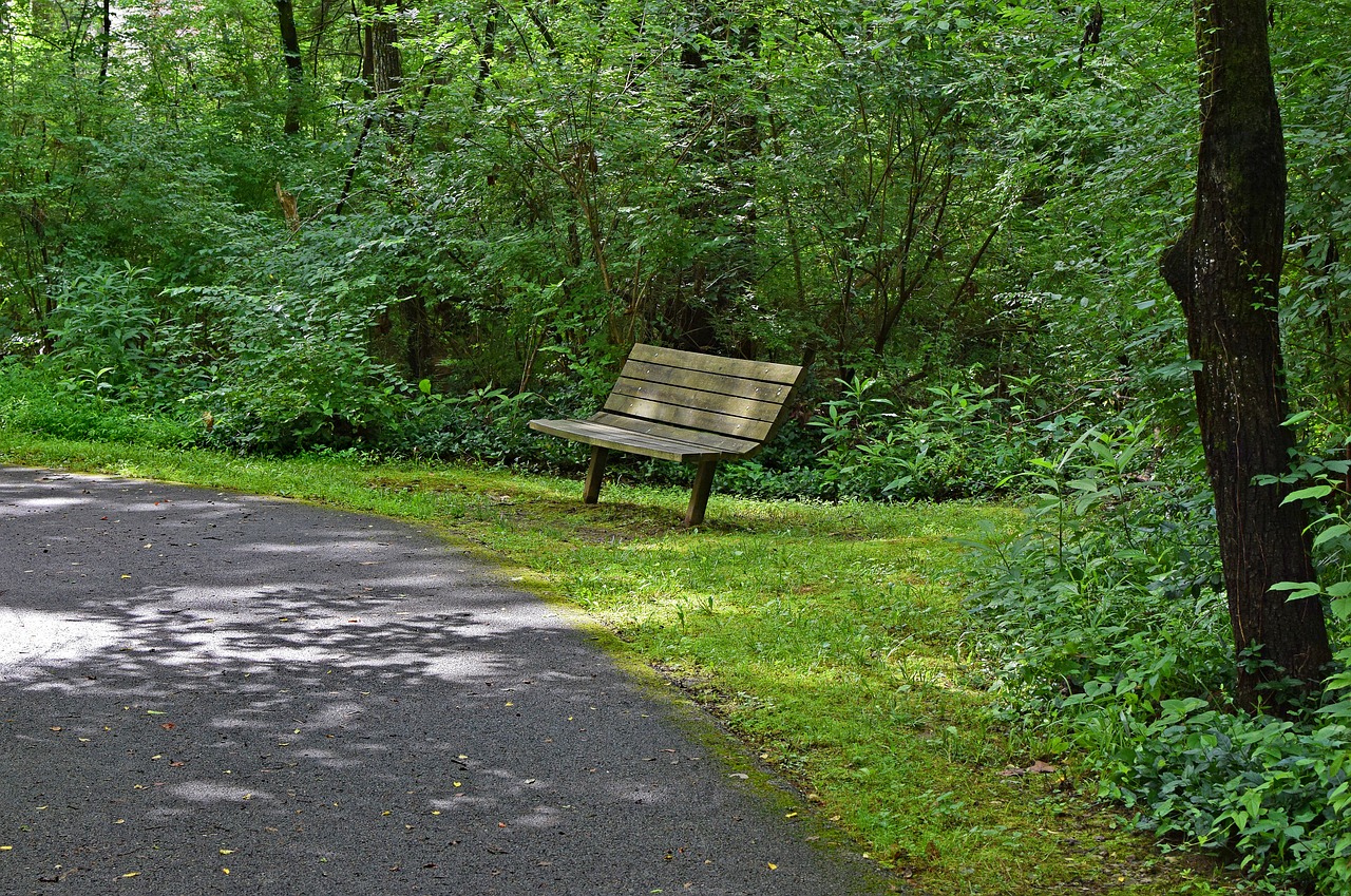 bench on green-way path bench wooden free photo