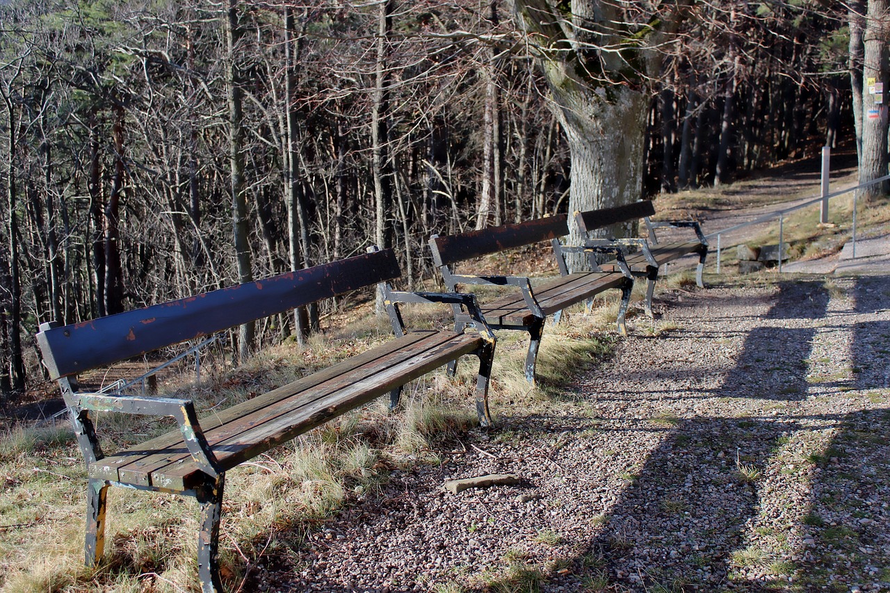 benches shadow park free photo