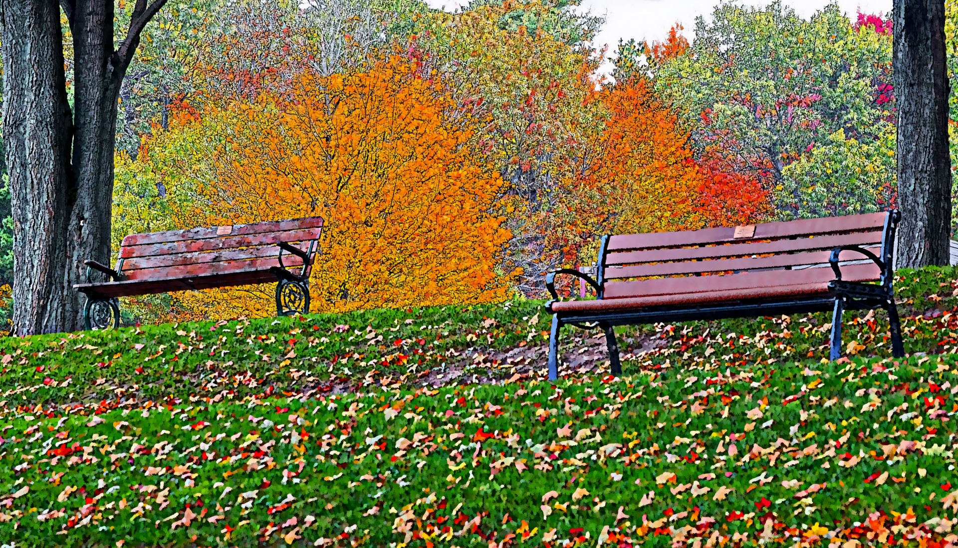 bench benches seat free photo