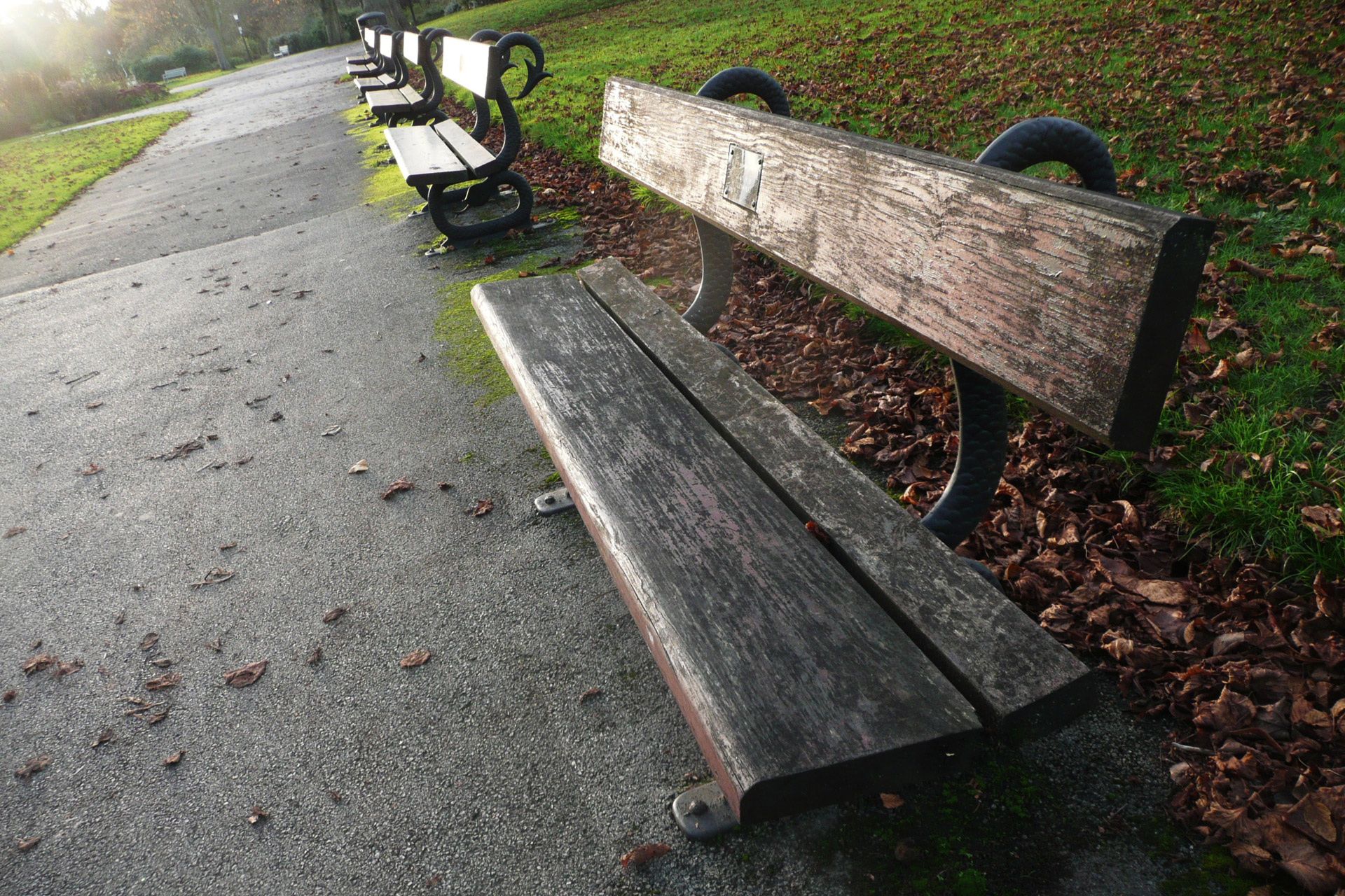 benches park rest free photo