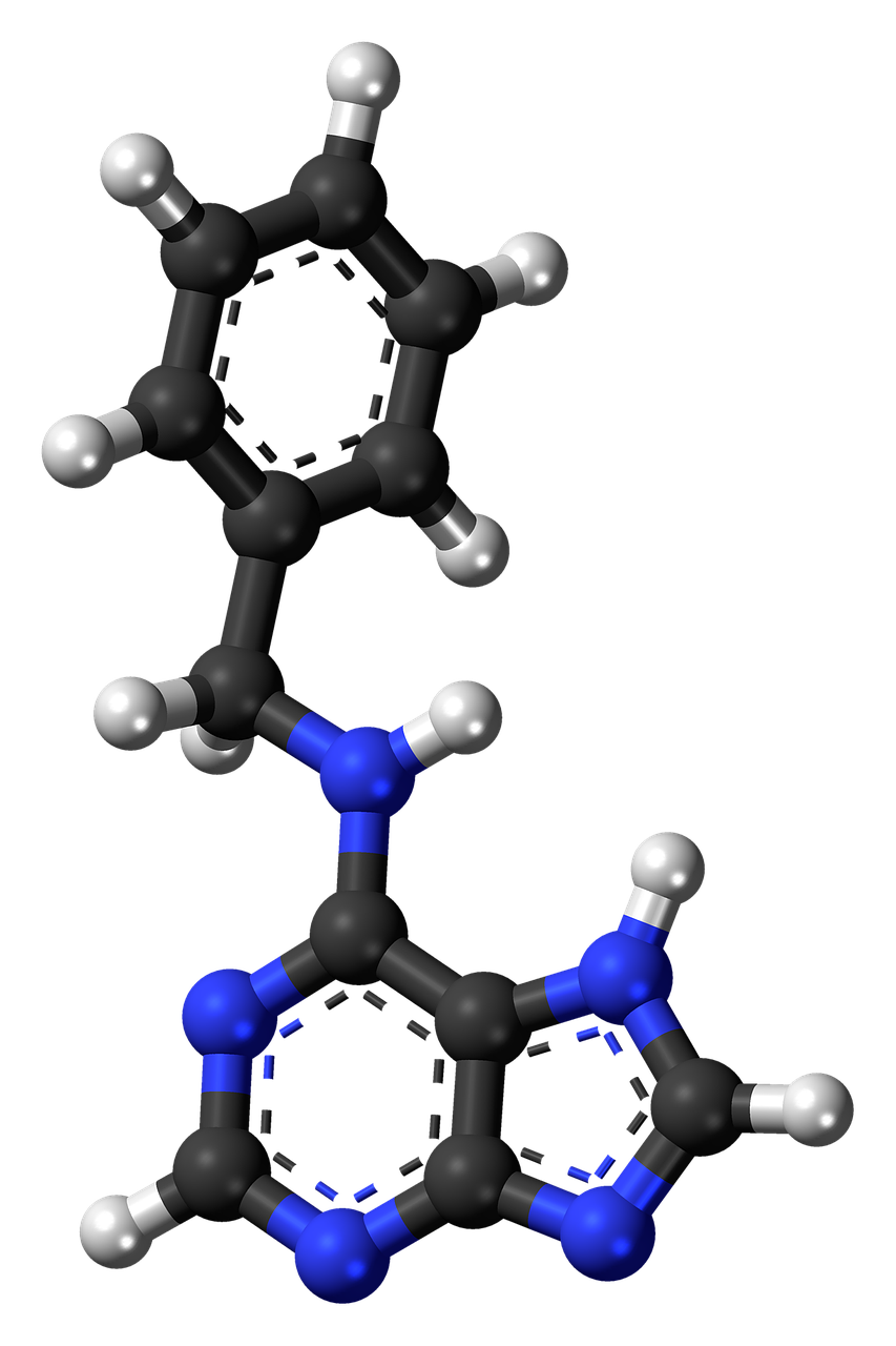 benzylaminopurine hormone molecule free photo