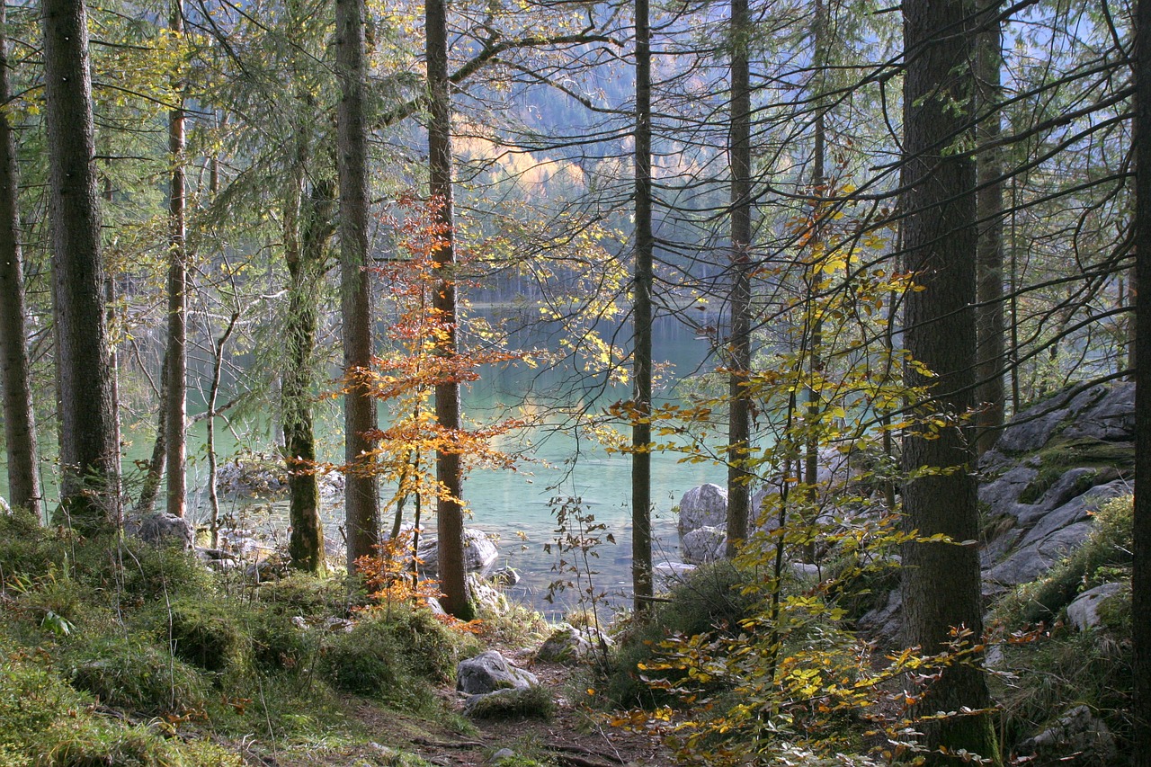 berchtesgaden ramsau hintersee free photo