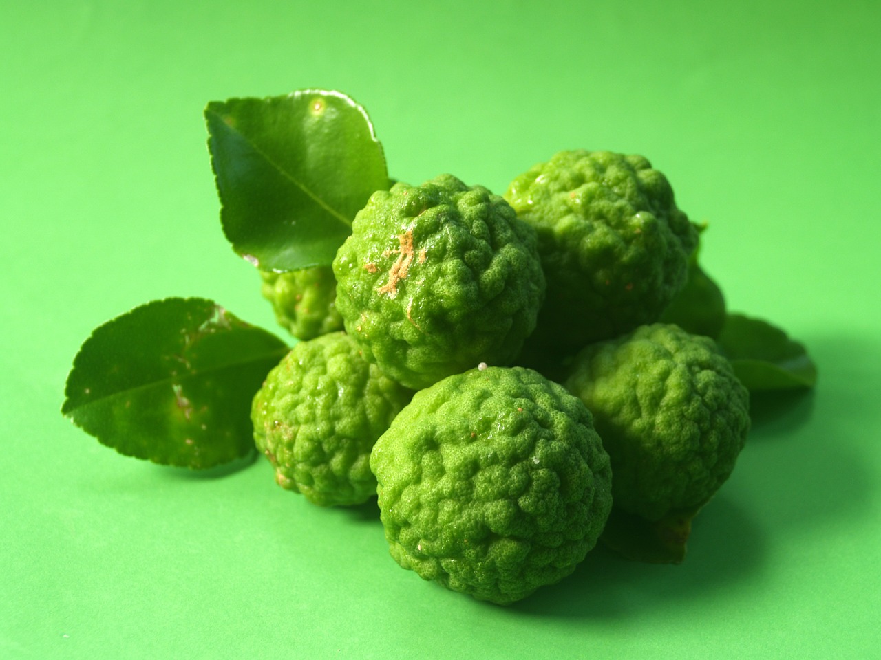 bergamot fruit leaf free photo