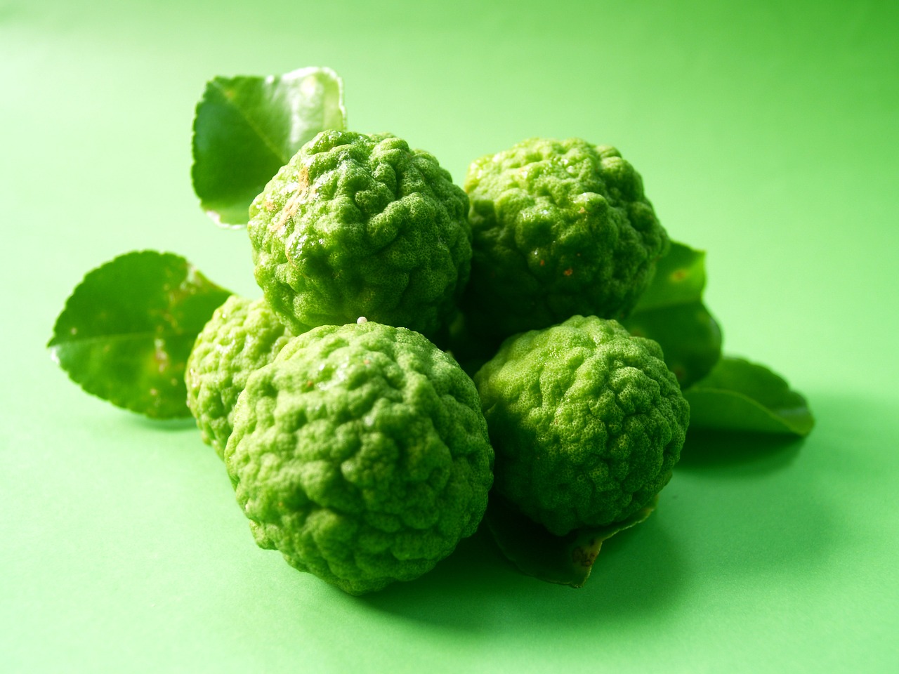 bergamot fruit leaf free photo