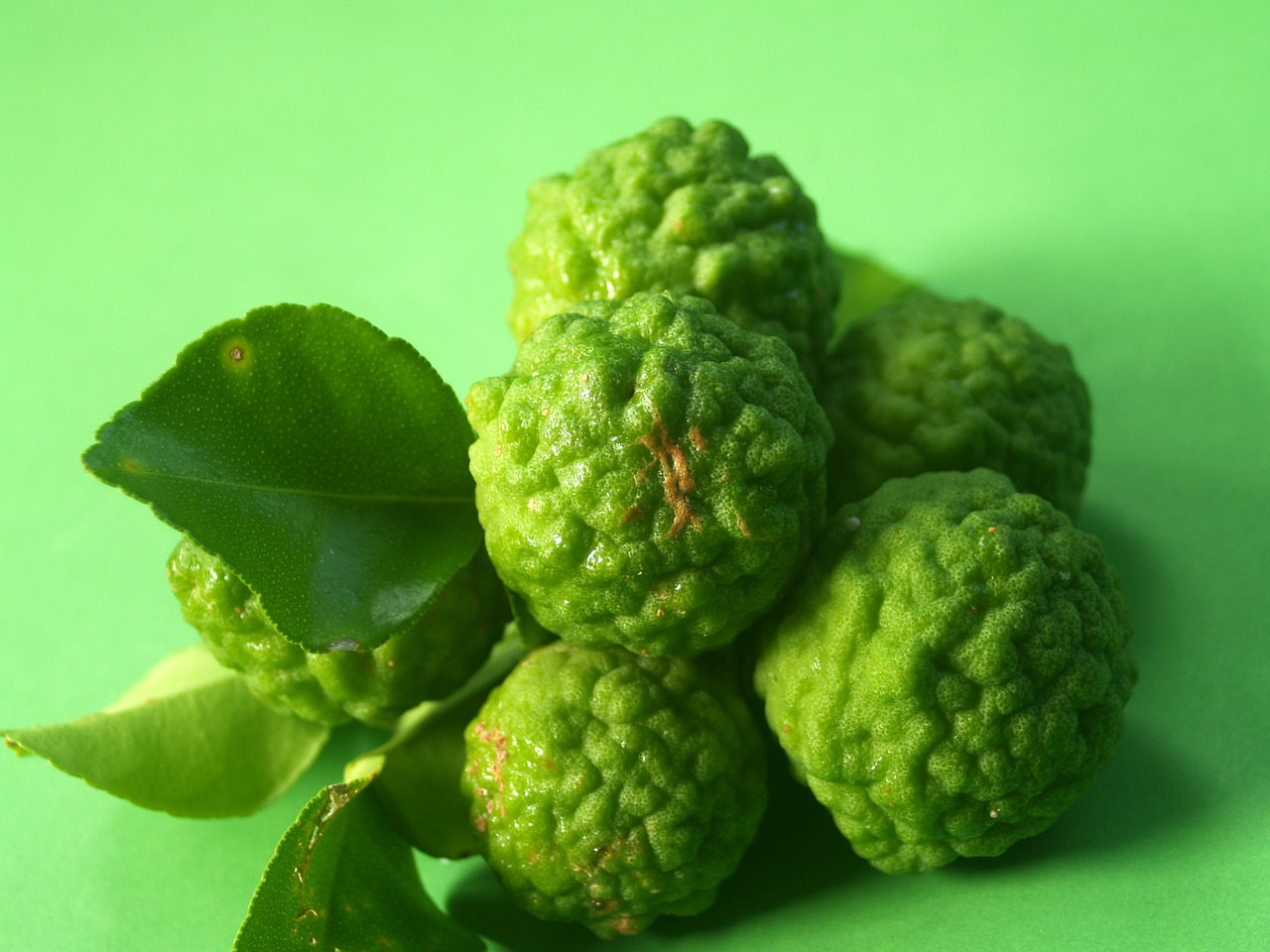 bergamot fruit leaf free photo