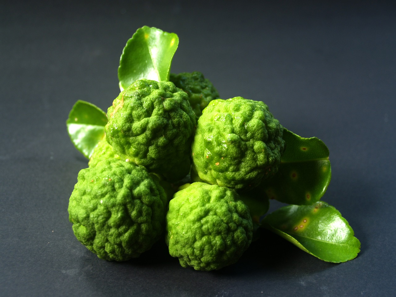 bergamot fruit leaf free photo