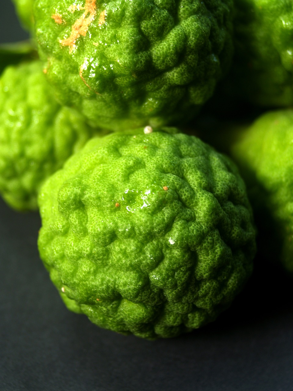 bergamot fruit leaf free photo