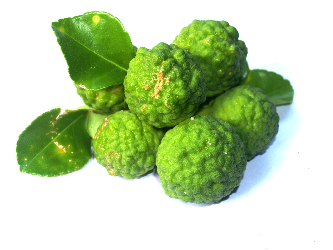 bergamot fruit leaf free photo