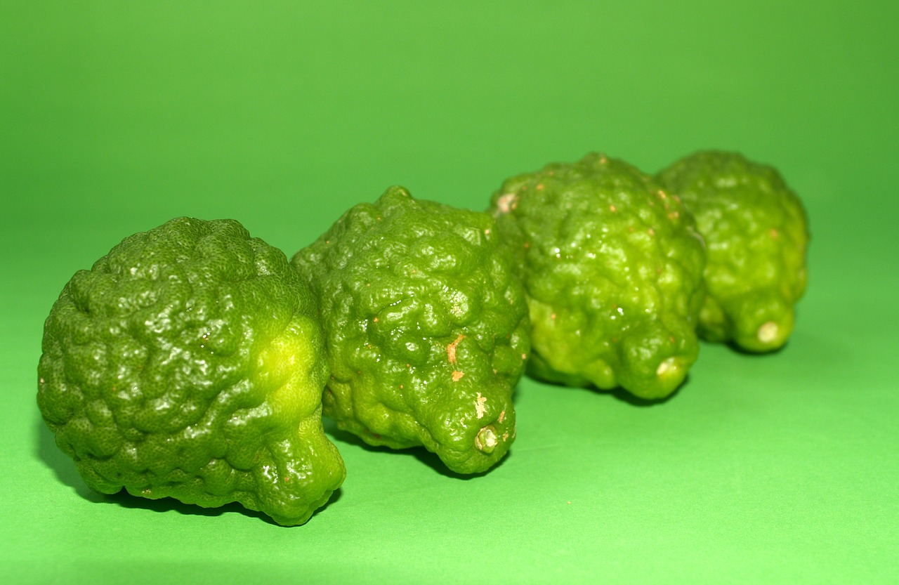 bergamot fruit leaf free photo