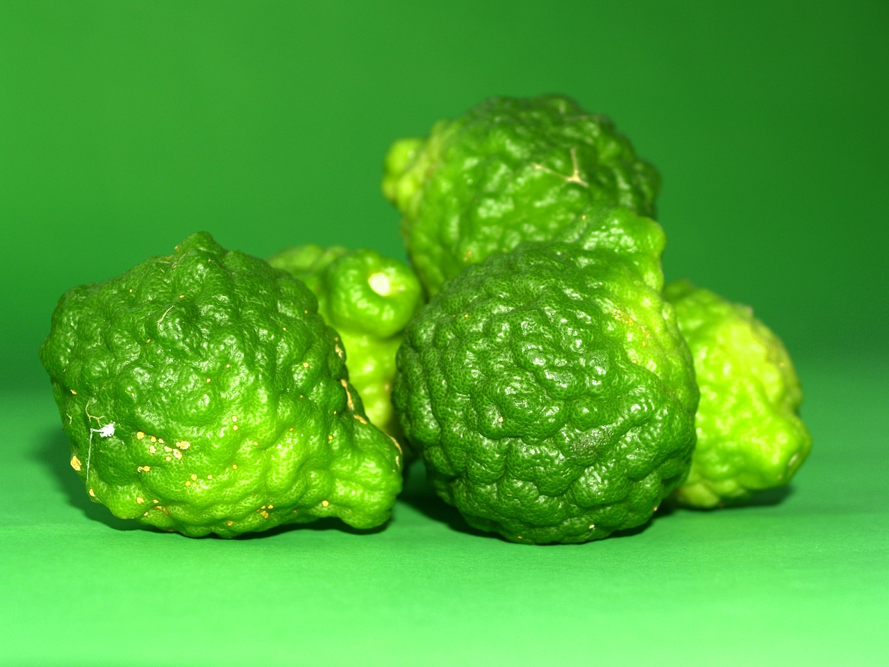 bergamot fruit leaf free photo