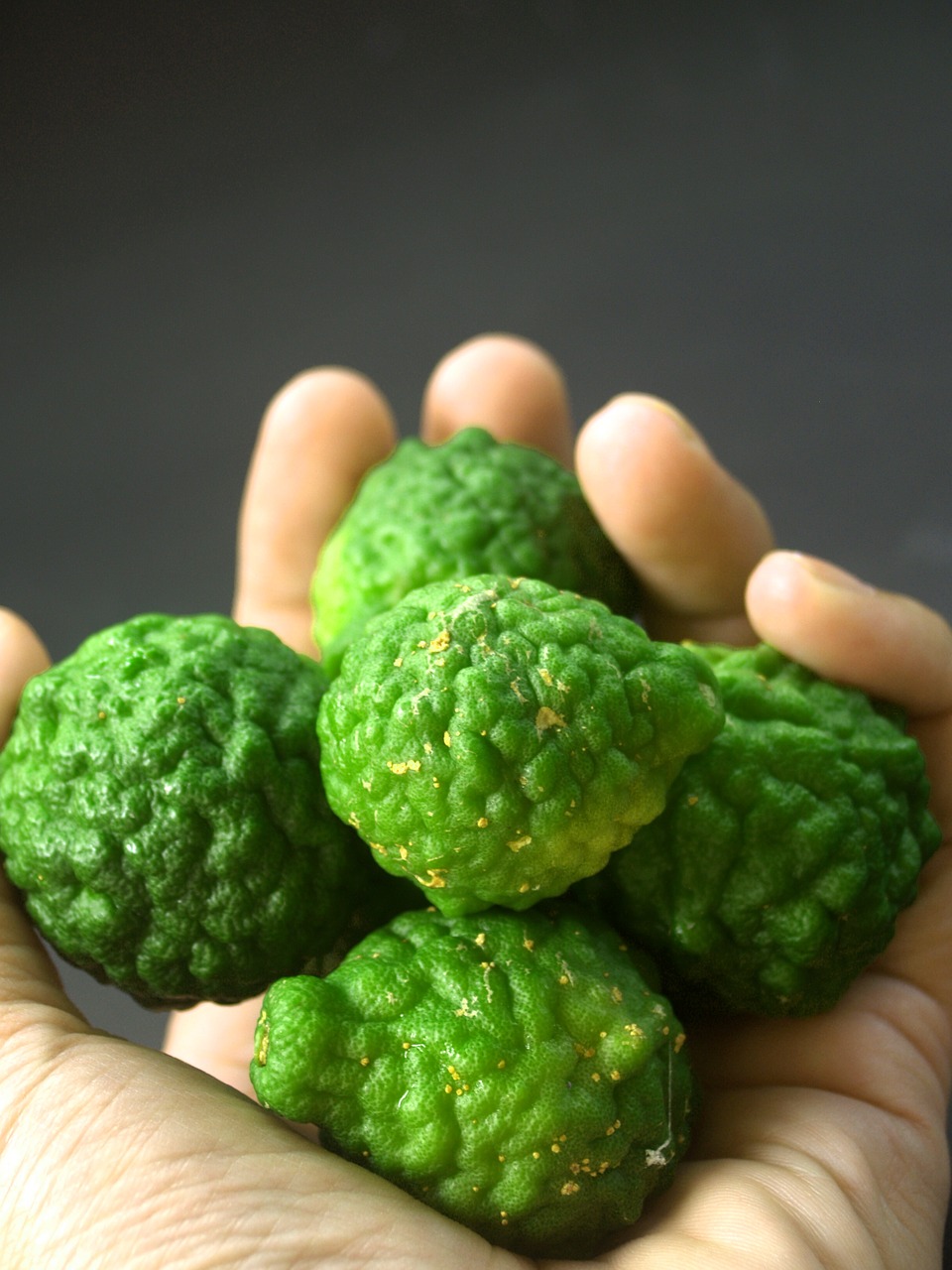 bergamot fruit leaf free photo