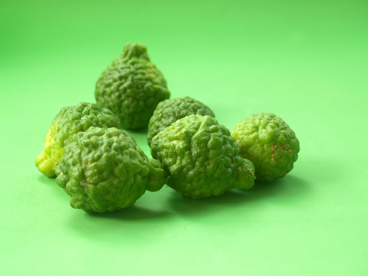 bergamot fruit leaf free photo