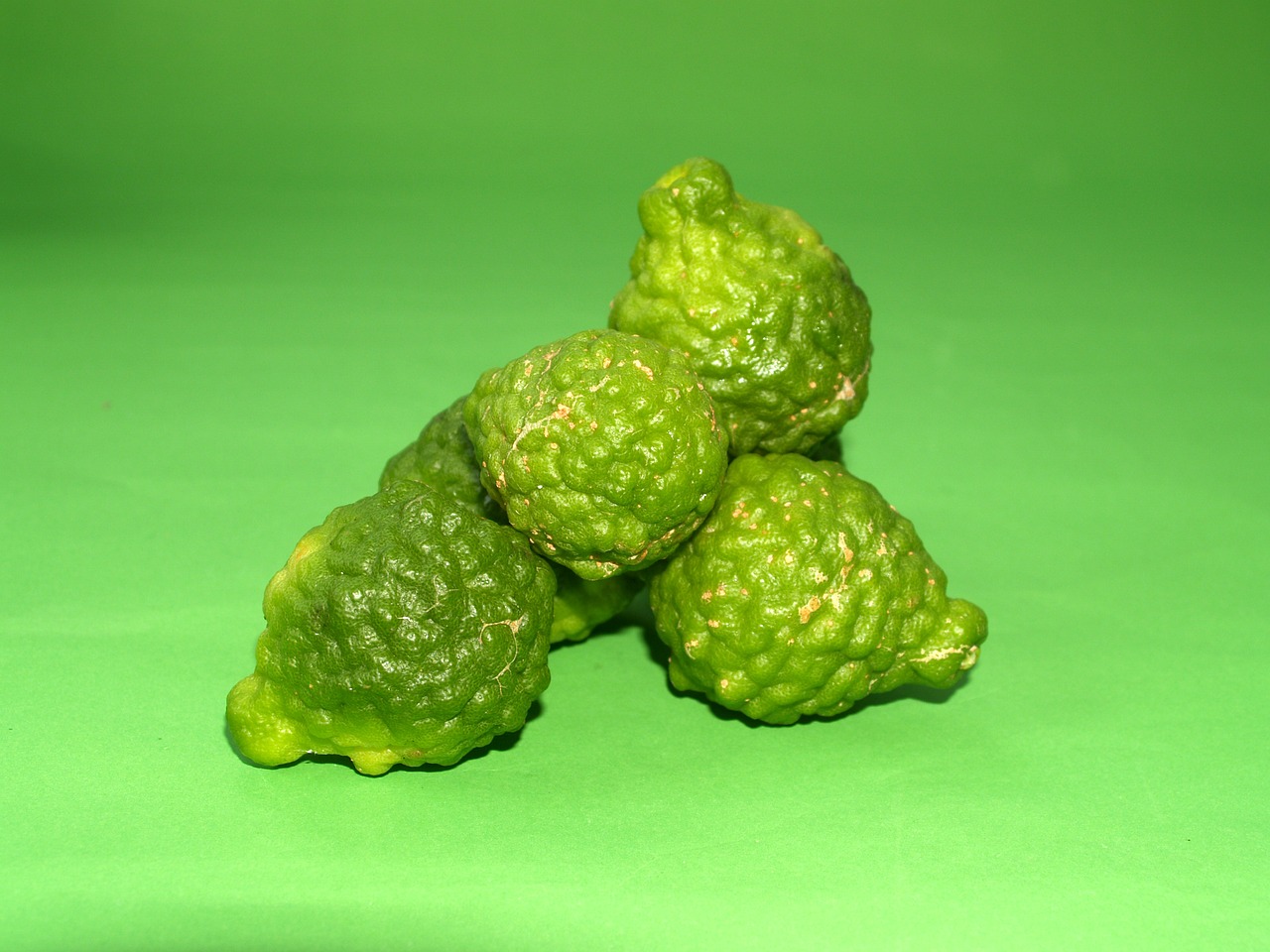 bergamot fruit leaf free photo