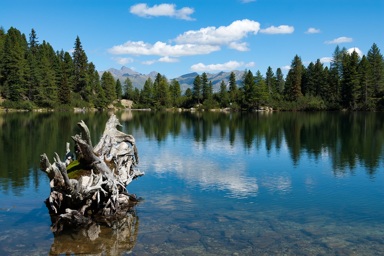 bergsee summer alpine free photo