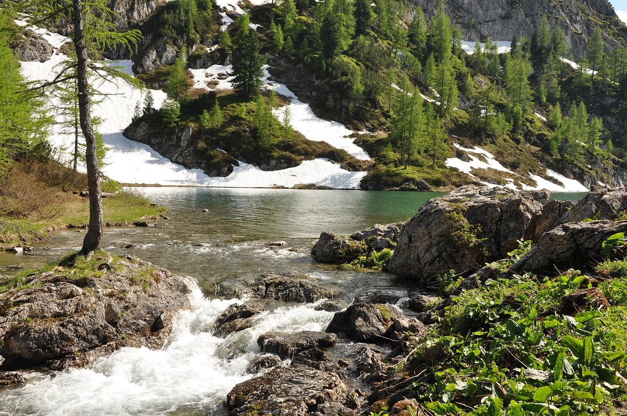 bergsee bach tappenkarsee free photo