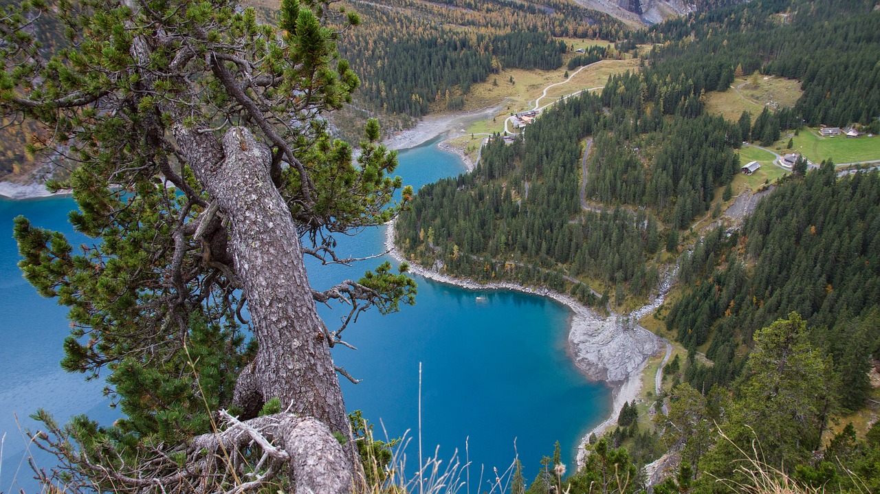 bergsee tree lake oeschinen free photo