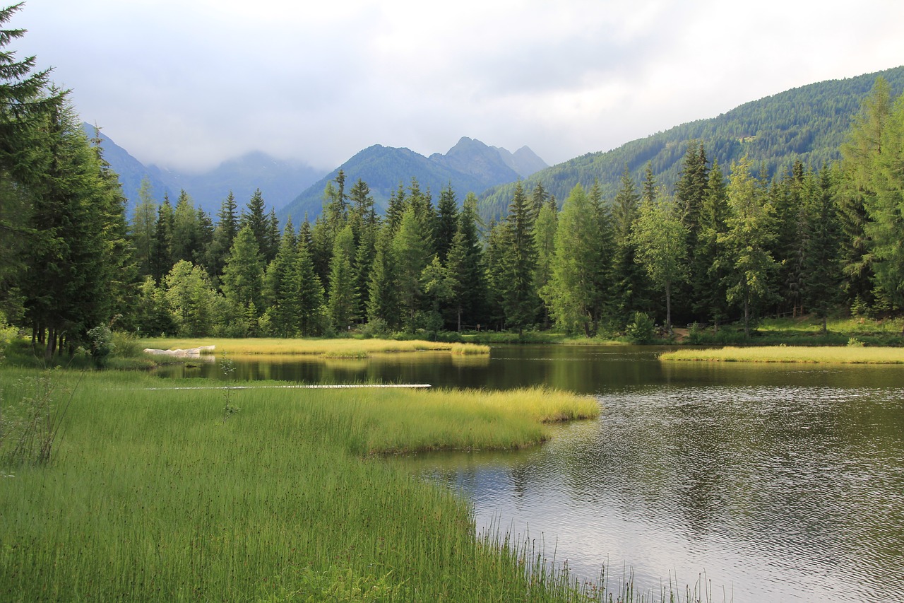 bergsee forest mountains free photo