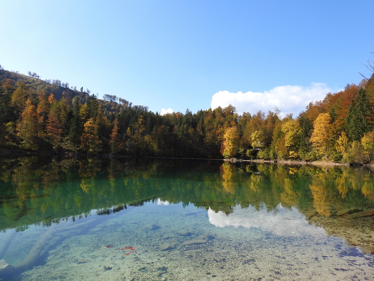 bergsee forest water free photo