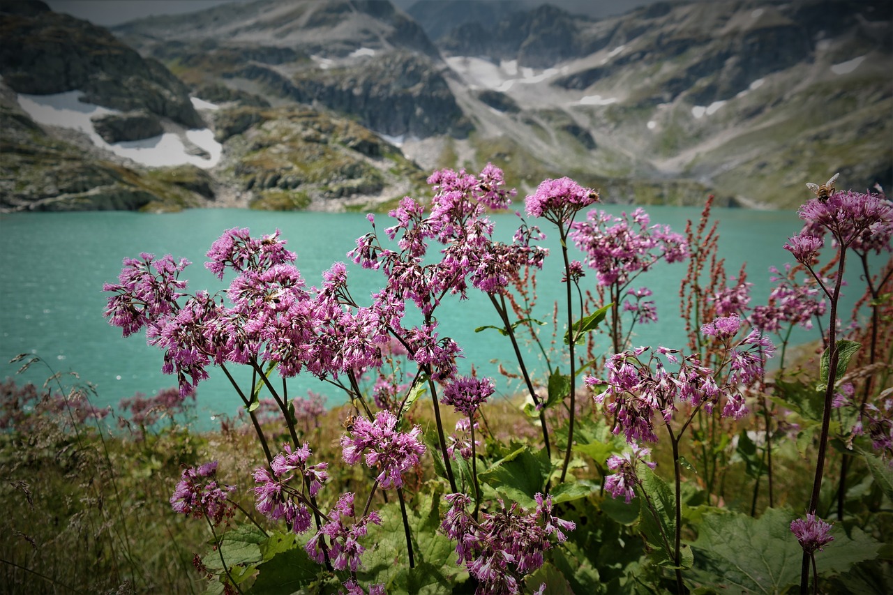 bergsee  reservoir  mountains free photo