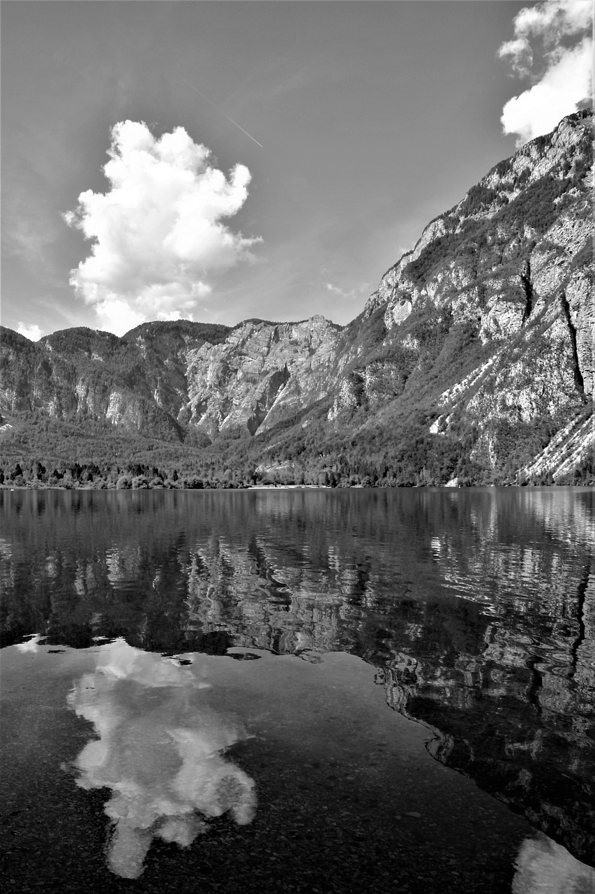 bergsee  mirroring  black and white free photo